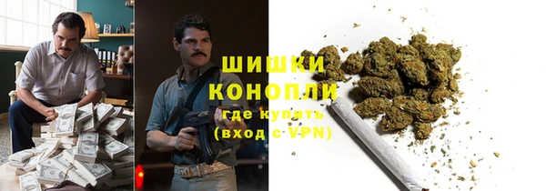 ПСИЛОЦИБИНОВЫЕ ГРИБЫ Верхний Тагил