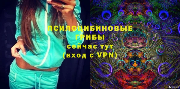ПСИЛОЦИБИНОВЫЕ ГРИБЫ Верхний Тагил